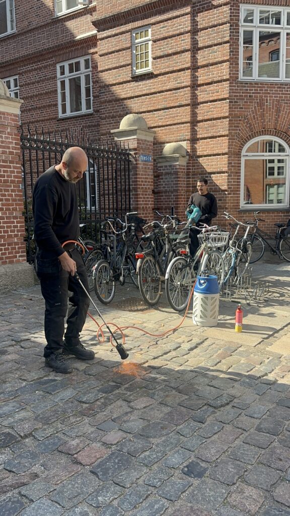 img 4212